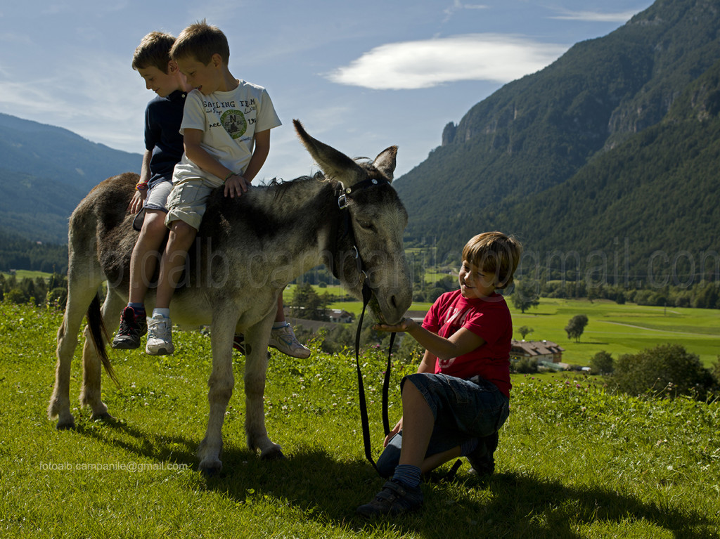 Valle di Fiemme 7256 Predazzo Agritur Maso Lena