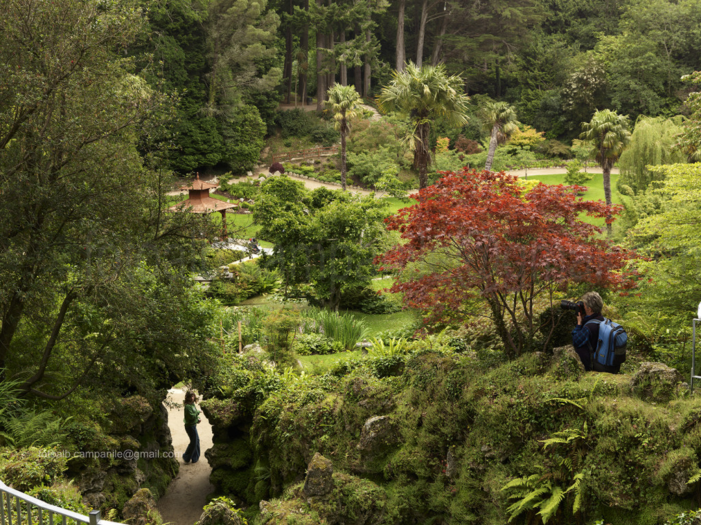 Irlanda 364 Enniskerry, Powerscourt House and Garden 0000