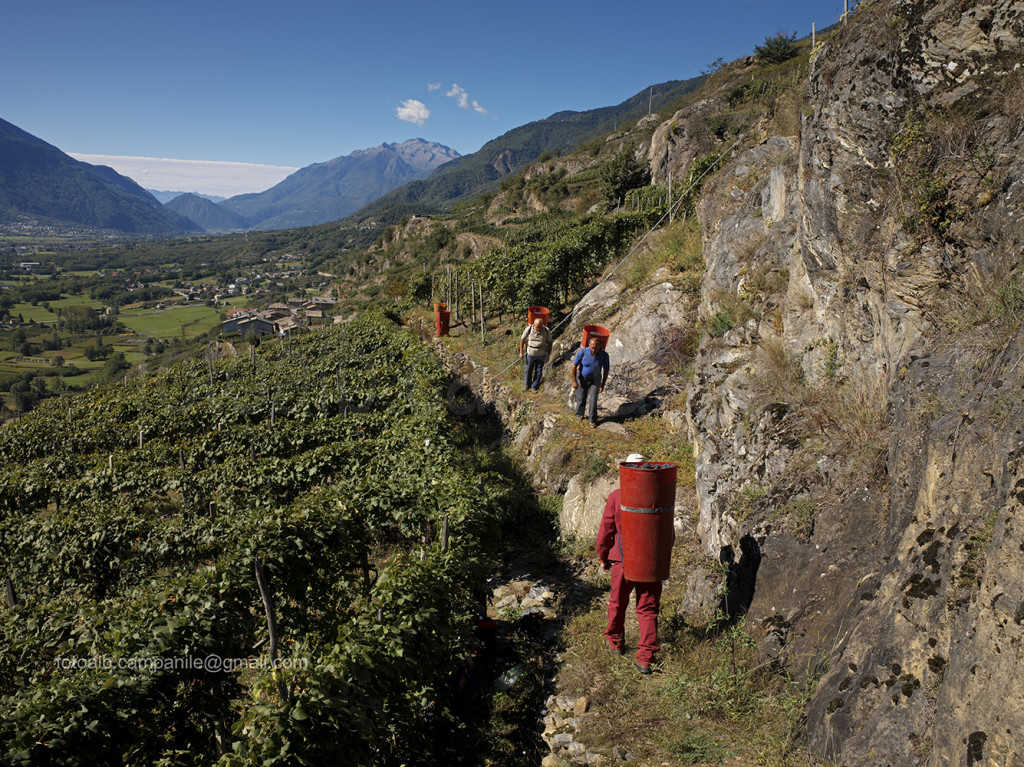 Valtellina 0509