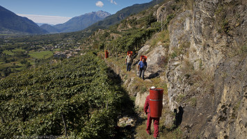 Valtellina 0509