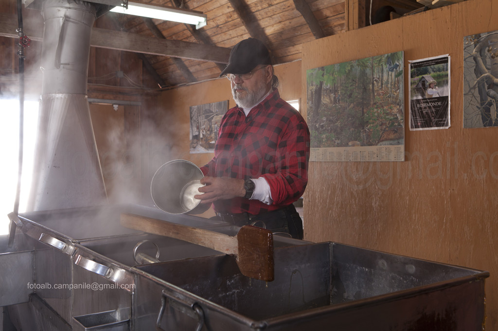 Quebec Ile d Orlean 298 Cabane a sucre l En Tailleur prep sciroppo di acero