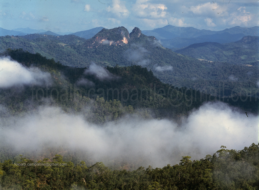 The forest, landscape between Pai and Mae Hong Son, Thailand