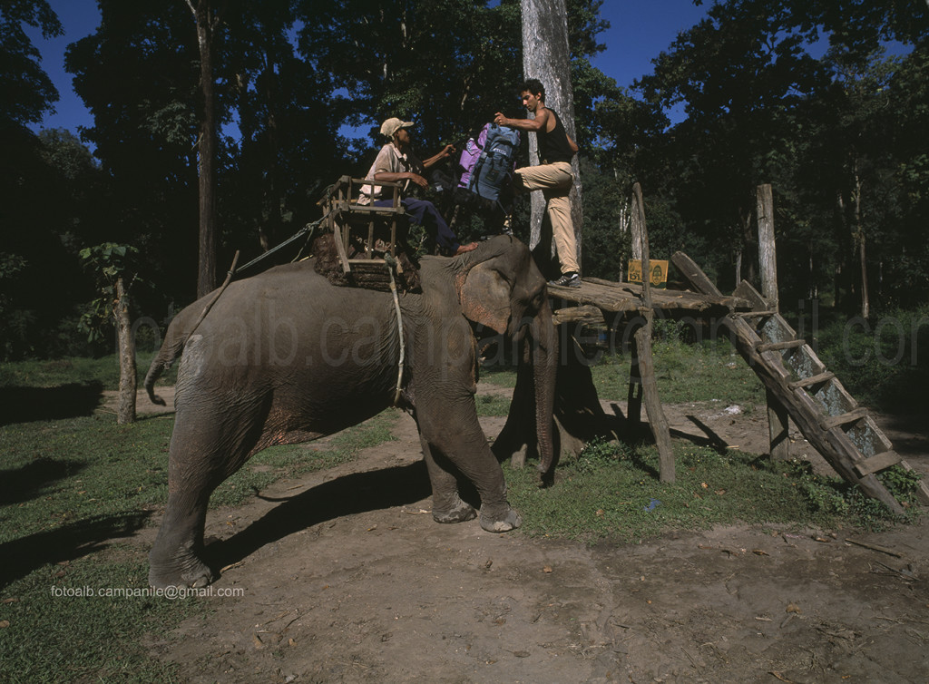 Mae Taeng elephant camp, Thailand