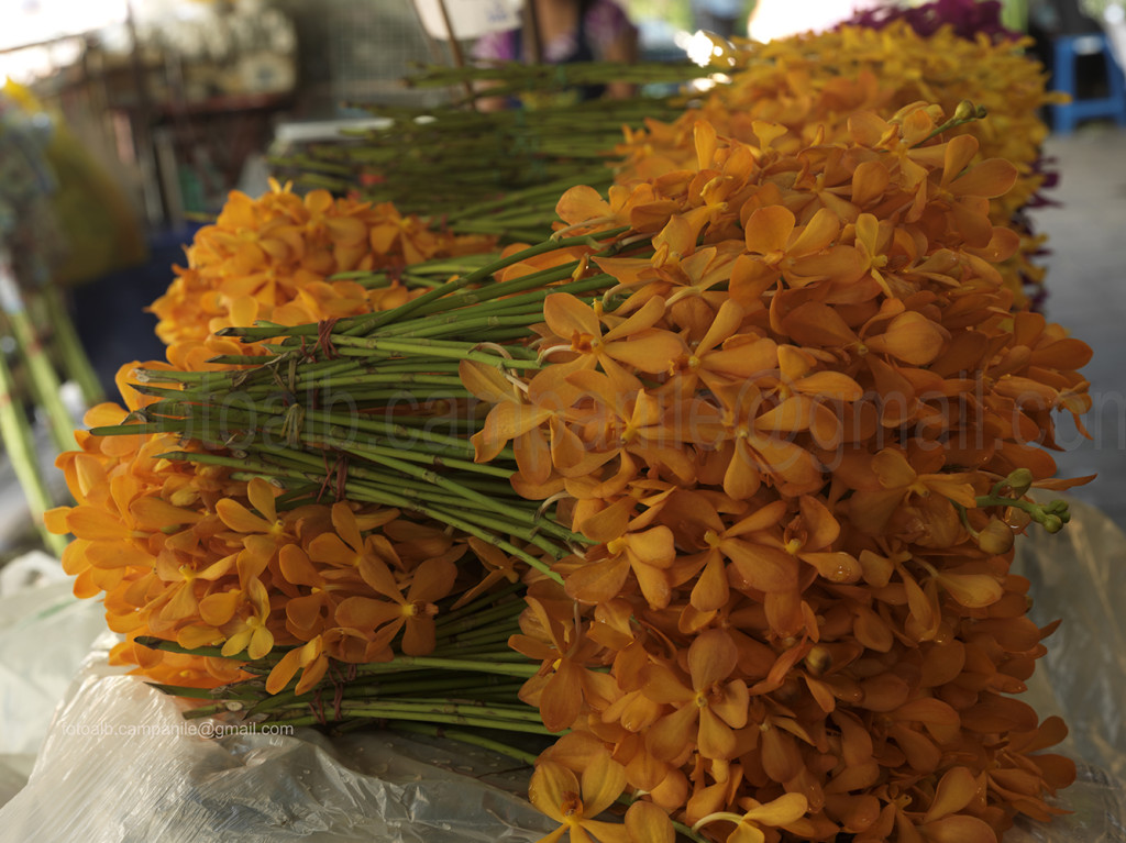 Pak Khlong Flower market, Bangkok, Thailand