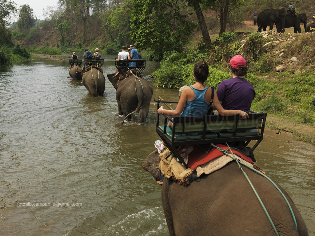 Chiang Dao elephant camp, Chiang Dao, Thailand