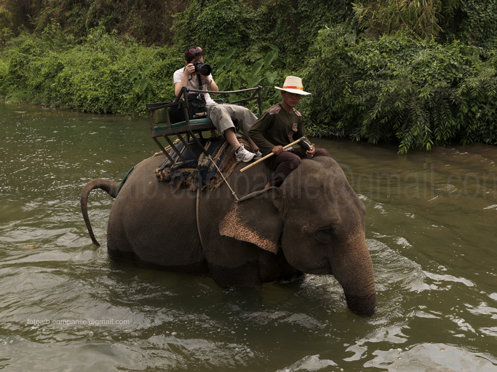 Chiang Dao elephant camp, Chiang Dao, Thailand