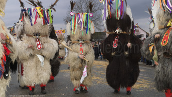 Slovenia Ptuj, Dornava 1430 il Carnevale, Kurent 0000