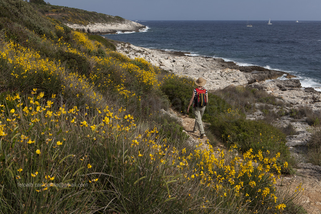 Kamenjak Peninsula, Premantura, Istria, Croatia