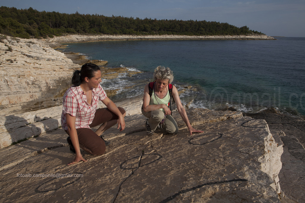 231 Istria 0541 Premantura Penisola di Kamenjak Sent Dinosauri