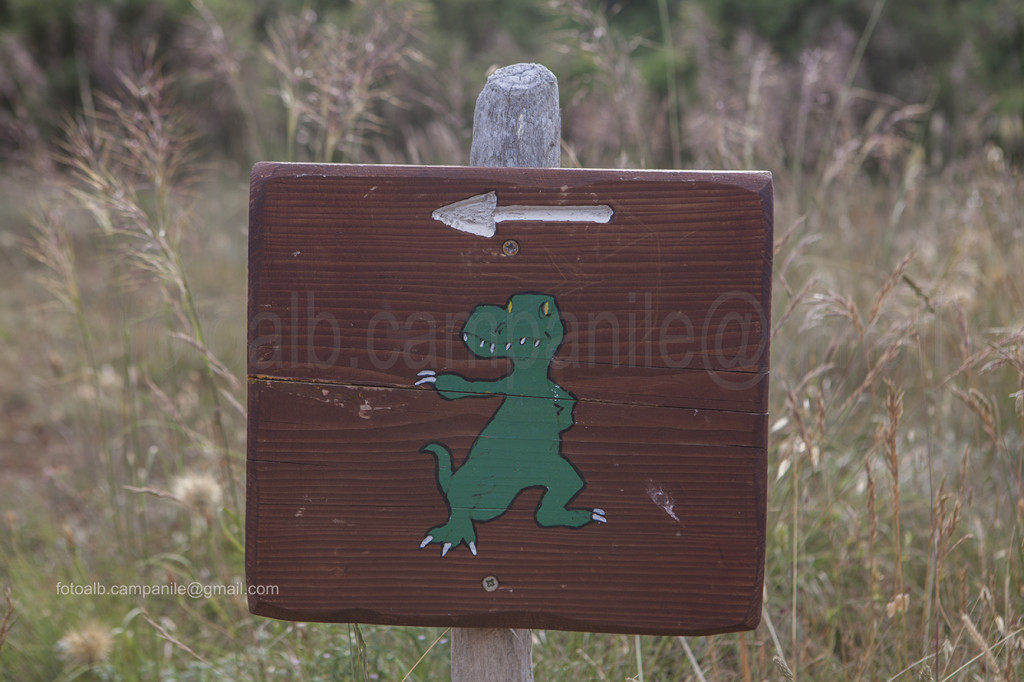 Trail of the Dinosaurs, Kamenjak Peninsula, Premantura, Istria, Croatia