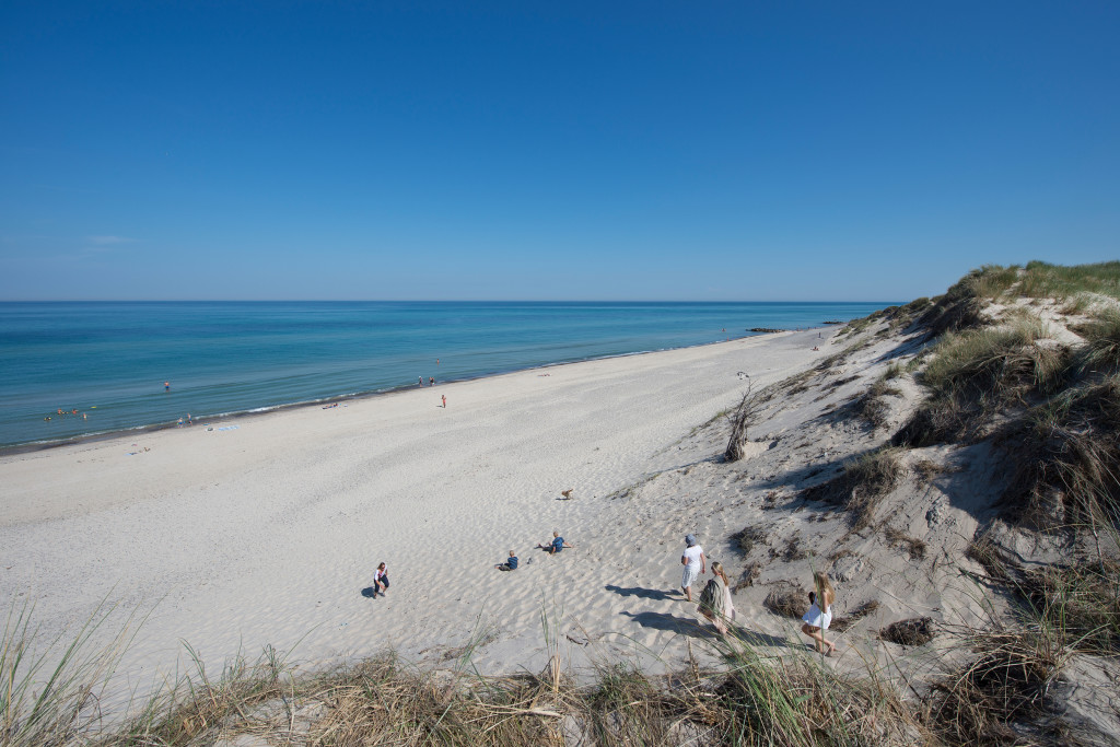 Gammel_Skagen (2)