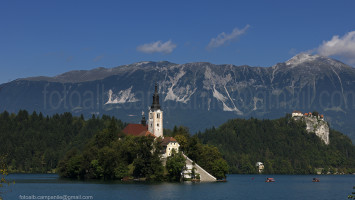 Slovenia Bled 27 isola di Otok e chiesa Assunzione di Maria 0000