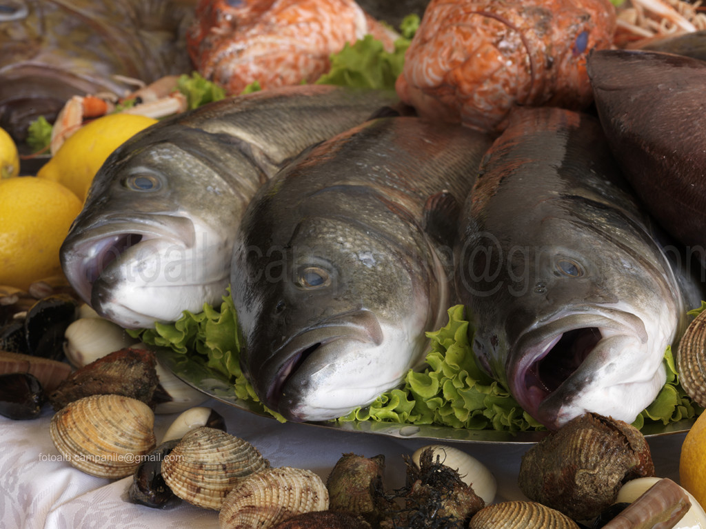 Pavel Restaurant, Pirano, Piran, Istria, Primorska, Slovenia