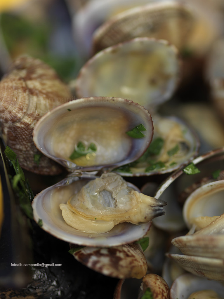 clams, Osteria Al Garanghelo, Venice, Veneto, Italy