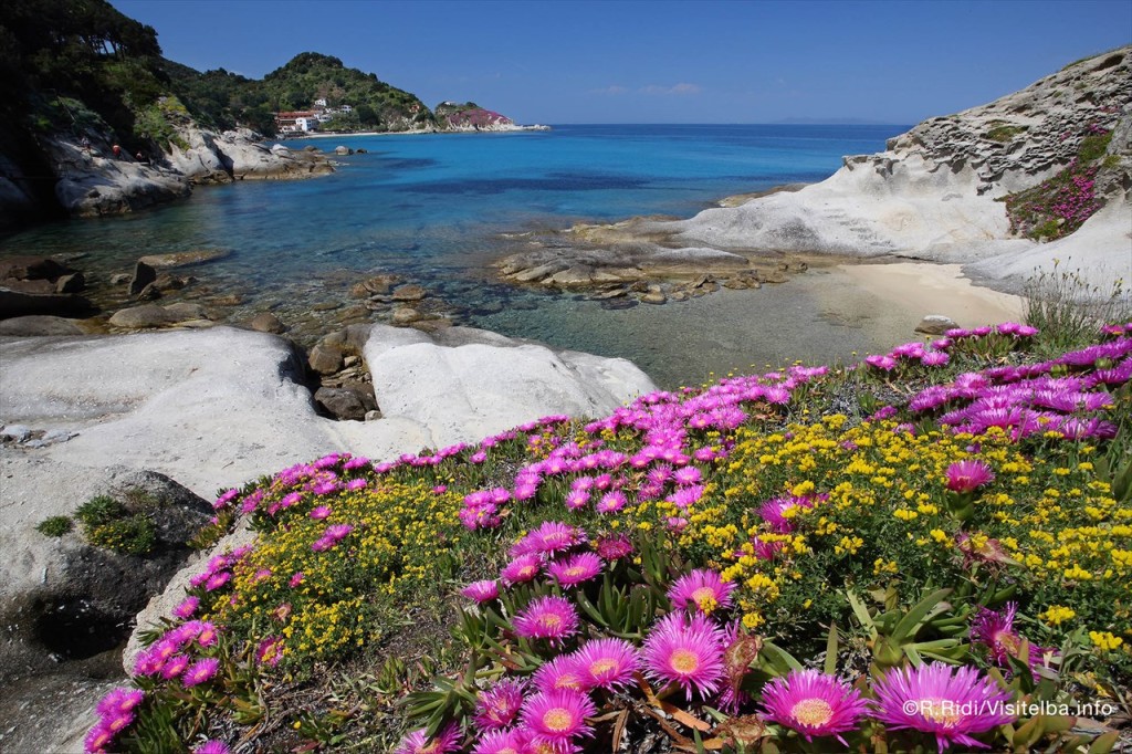 spiaggia-di-cotoncello-elba[1]