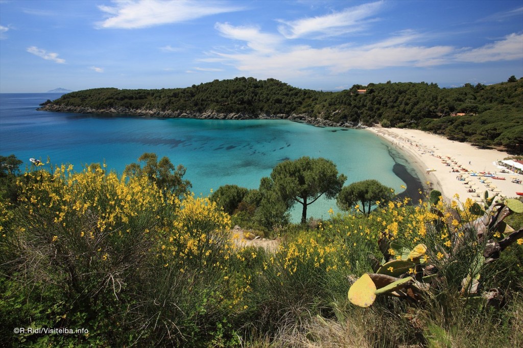 spiaggia-fetovaia-elba[1]