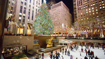 TREE-25 Will Steacy  The Tree at Rockefeller Center