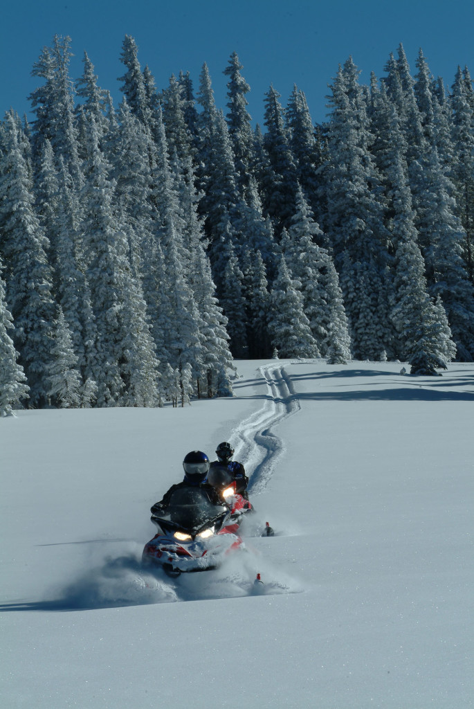 Snowmobiling in the Snowy Range of Wyoming