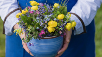 Canon EOS-1Ds Mark III Suedtirol, Schenna, Schennaberg, Zmailer-Hof, Hofschank, Roter Hahn, Wiesenblumen, Blumenschmuck im Hofschank, 2013-05-23 16:30:00 Frieder Blickle fuer Suedtiroler Bauernbund, Roter Hahn f/5 1/500sec ISO-200 95mm