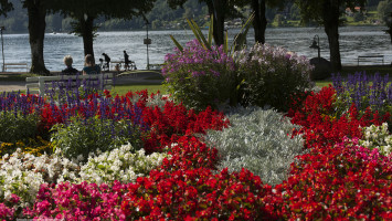 Millstatt lake, Seeboden, Carinthia, Austria, Europe Alberto Campanile Hasselblad H3D  2012-08-10 09:52:07 Alberto Campanile f/11 1/80sec ISO-50 90mm