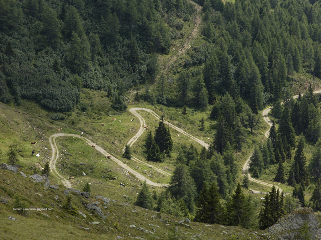 The path for Lammersdorfer hut, Carinthia, Austria, Europe