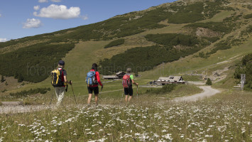 Alberto Campanile Hasselblad H3D The path for Pfnatschalm, San Martino (Reinswald), Sarentino Valley, Trentino Alto Adige, Italy, Europe 2016-08-13 16:54:42 Alberto Campanile f/9.5 1/400sec ISO-100 65mm