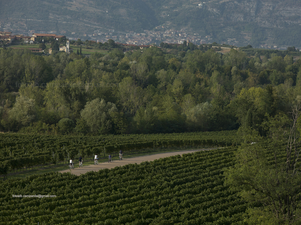 franciacorta-371-provaglio-di-iseo-vigneti