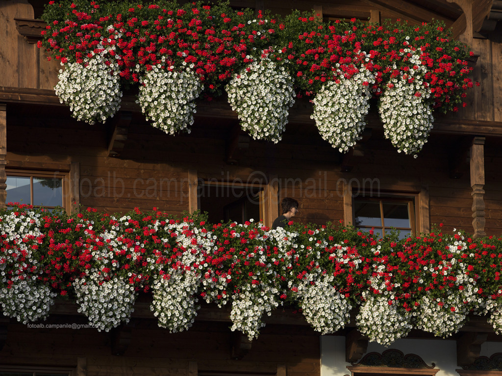 Traditional house, Alpbach, Alpbach Valley,  Austria, Tyrol, Europe