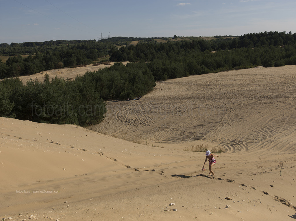 Pustynia Siedlecka (Siedlecka desert), Siedlec Janowski, Poland, Europe