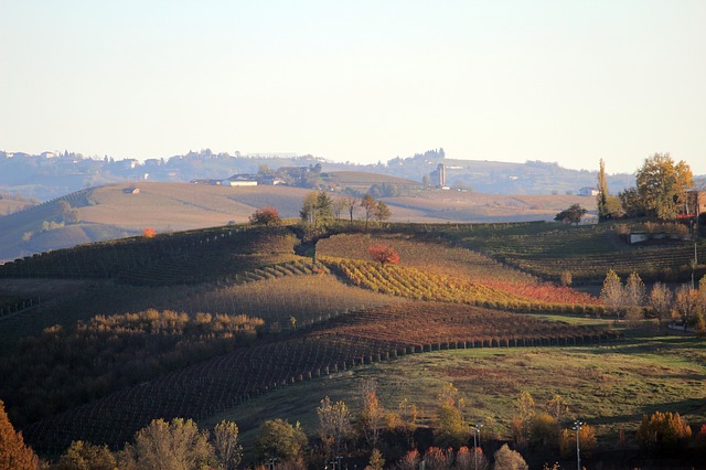 langhe-2913899_640