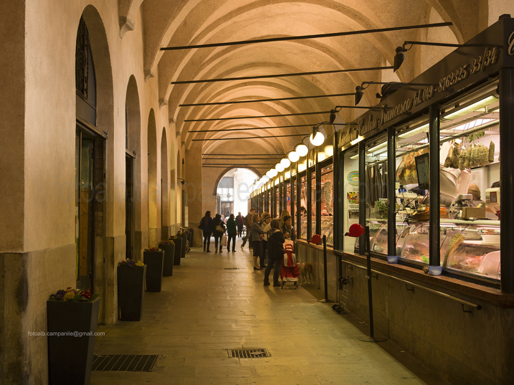 Sottosalone food market, Padova (Padua), Veneto, Italy, Europe