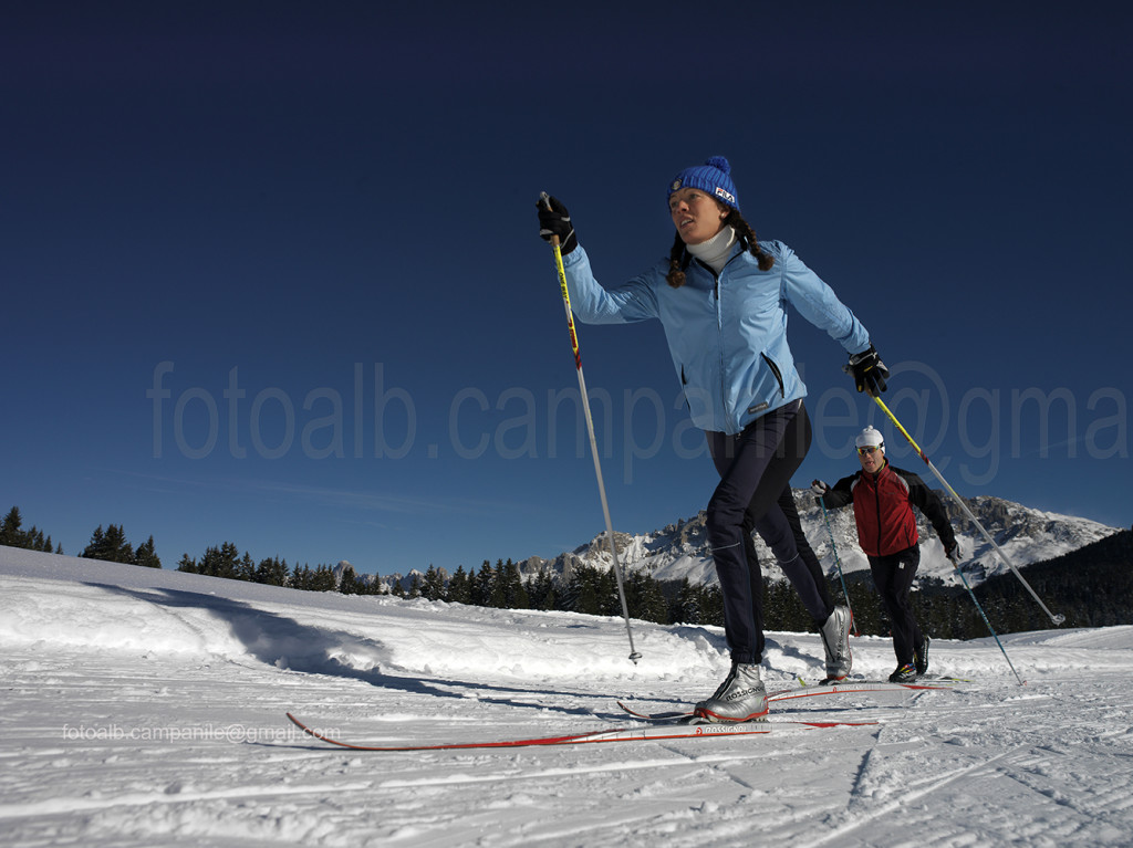 Fiemme inv 0055