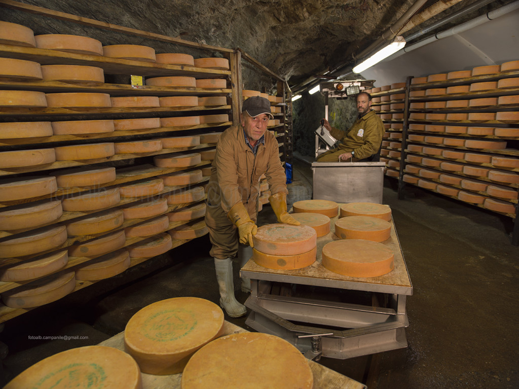 Fontina Museum and seasoning room, Valpelline, Aosta Valley, Italy, Europe