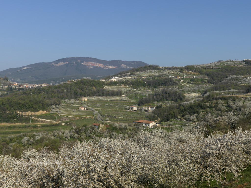 3 Valpolicella 312 Marano di Valpolicella 0000