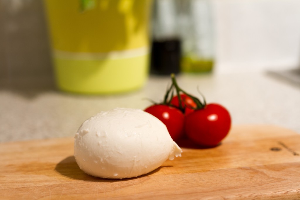 mozzarella bufala Cilento