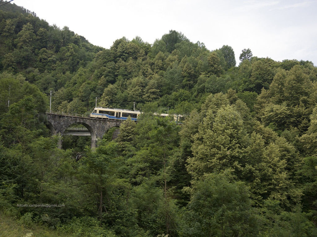 Treno Domodossola