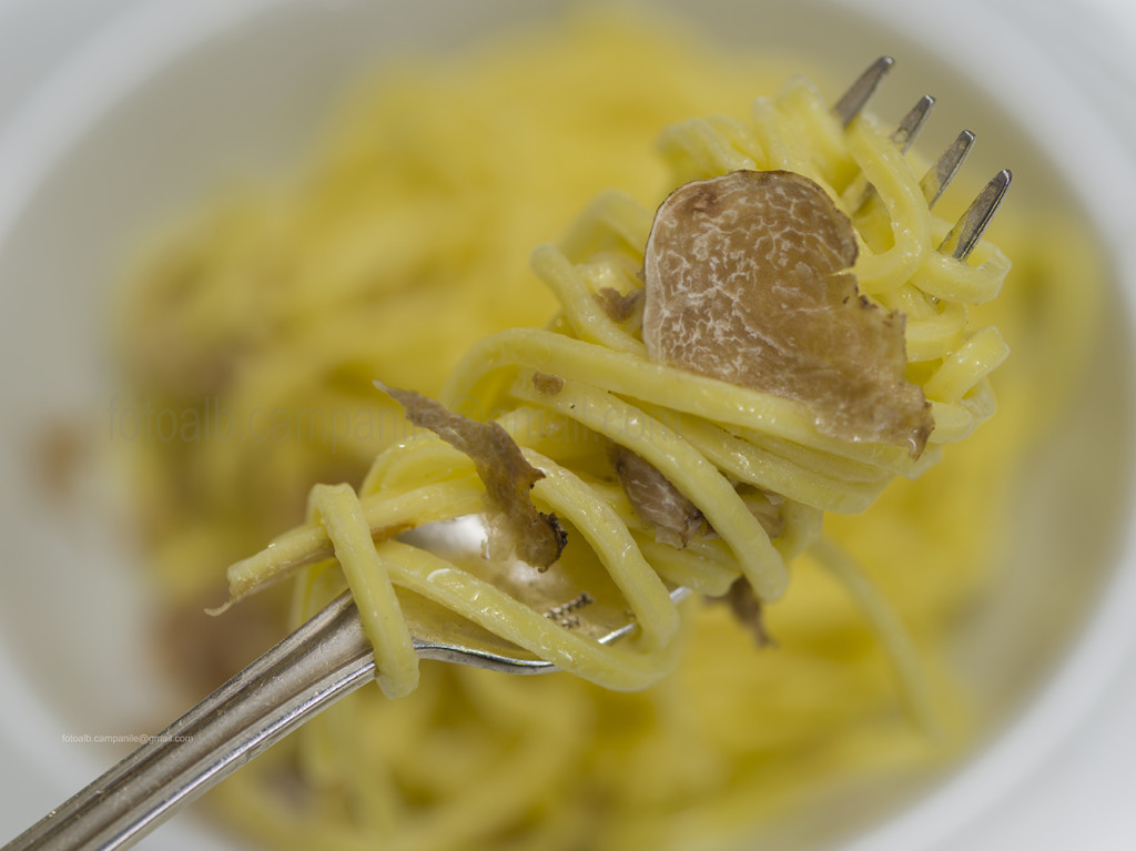 Asti 283 Rist Campanaro,tagliolini al tartufo bianco