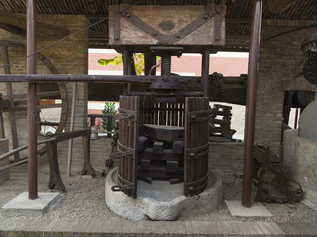 Bersano Wine cellar, Nizza Monferrato, Piemonte, Italy, Europe