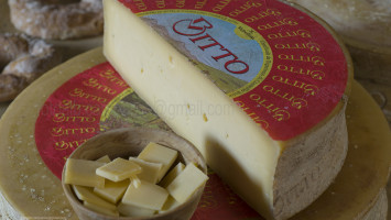 Bitto cheese, Bormio Dairy, Bormio, Valtellina, Lombardy, Italy, Europe