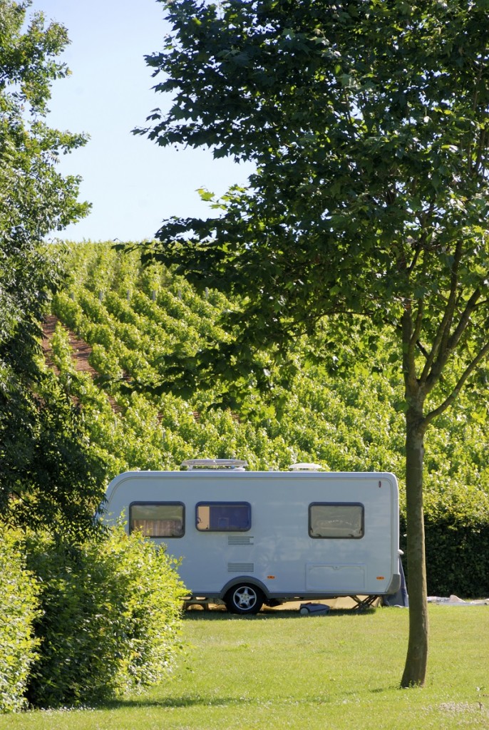 Donne del Vino Camper Friendly