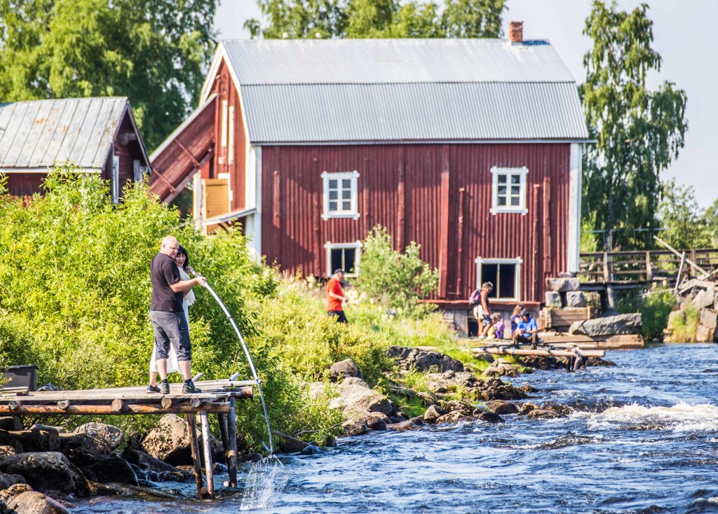 Kukkola_foto linnea isaksson (2)