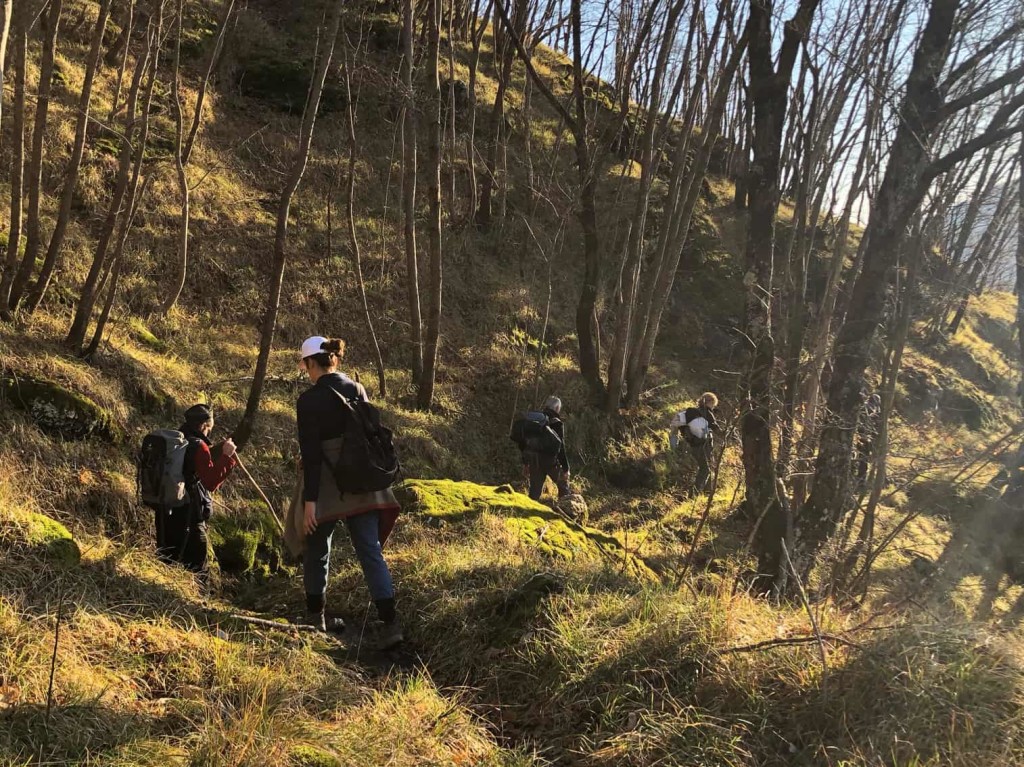 Alta Valtaro - Boschi in autunno (2)