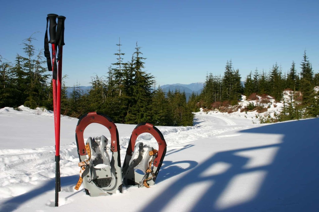 snowshoes-g1a9dc2325_1920 (2)