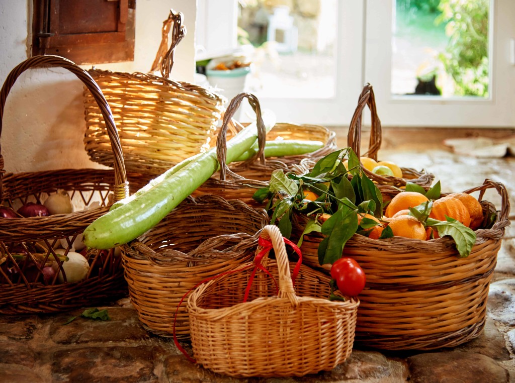 Baglio Occhipinti - Organic farm (1)