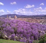 Firenze, guida alla città green