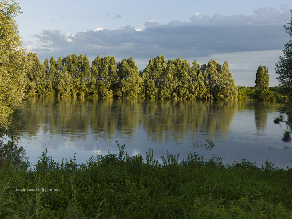 Adige river, San Martino di Venezze, Polesine, Veneto, Italy, Europe