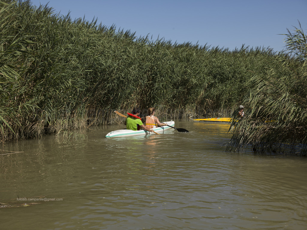 Po river, Pila, Porto Tolle, Polesine, Veneto, Italy, Europe