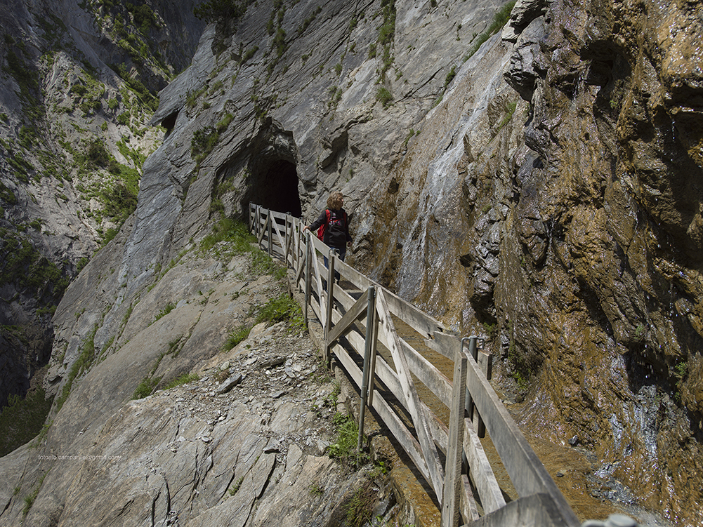 Kals am Grossglockner 0066 Daberklamm,, sentiero tra Taurer e Berger Alm