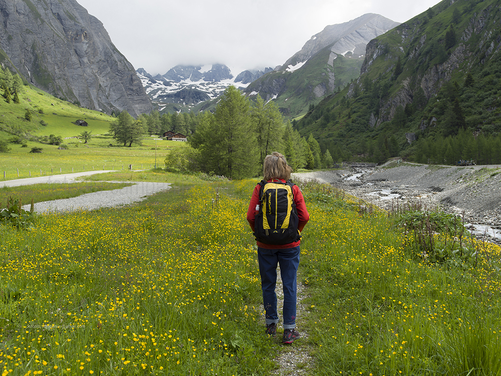 Kals am Grossglockner 0299 sentiero tra Lucknerhaus e Lukner Huette