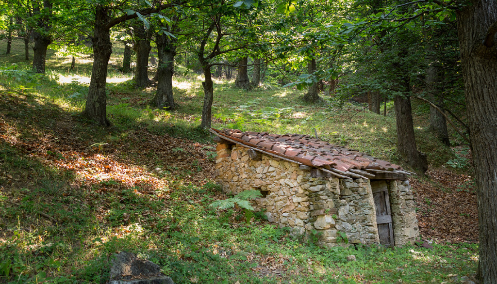 Viola borgata castello seccatoio nel bosco